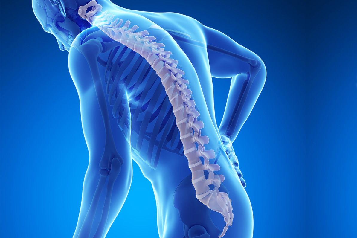 how to prevent bone loss and osteoporosis